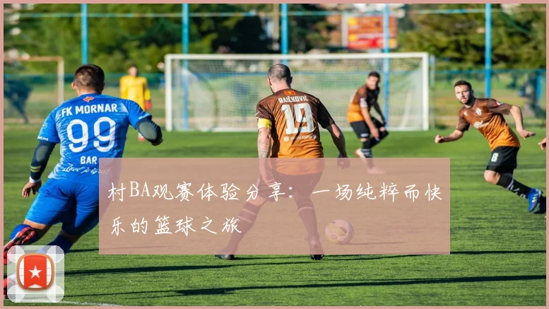 村BA观赛体验分享:一场纯粹而快乐的篮球之旅